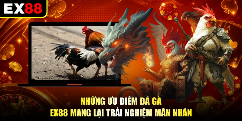 Những ưu điểm đá gà EX88 mang lại trải nghiệm mãn nhãn